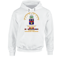 Load image into Gallery viewer, Army - 1st Bn 148th Infantry - Cbt Opns - OEF w AFGHAN SVC Hoodie
